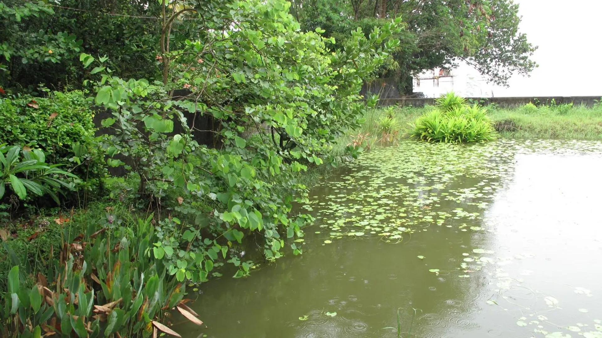 הוילה Alappuzha Hibiscus Earth - A Cgh Earth Saha Experience הודו