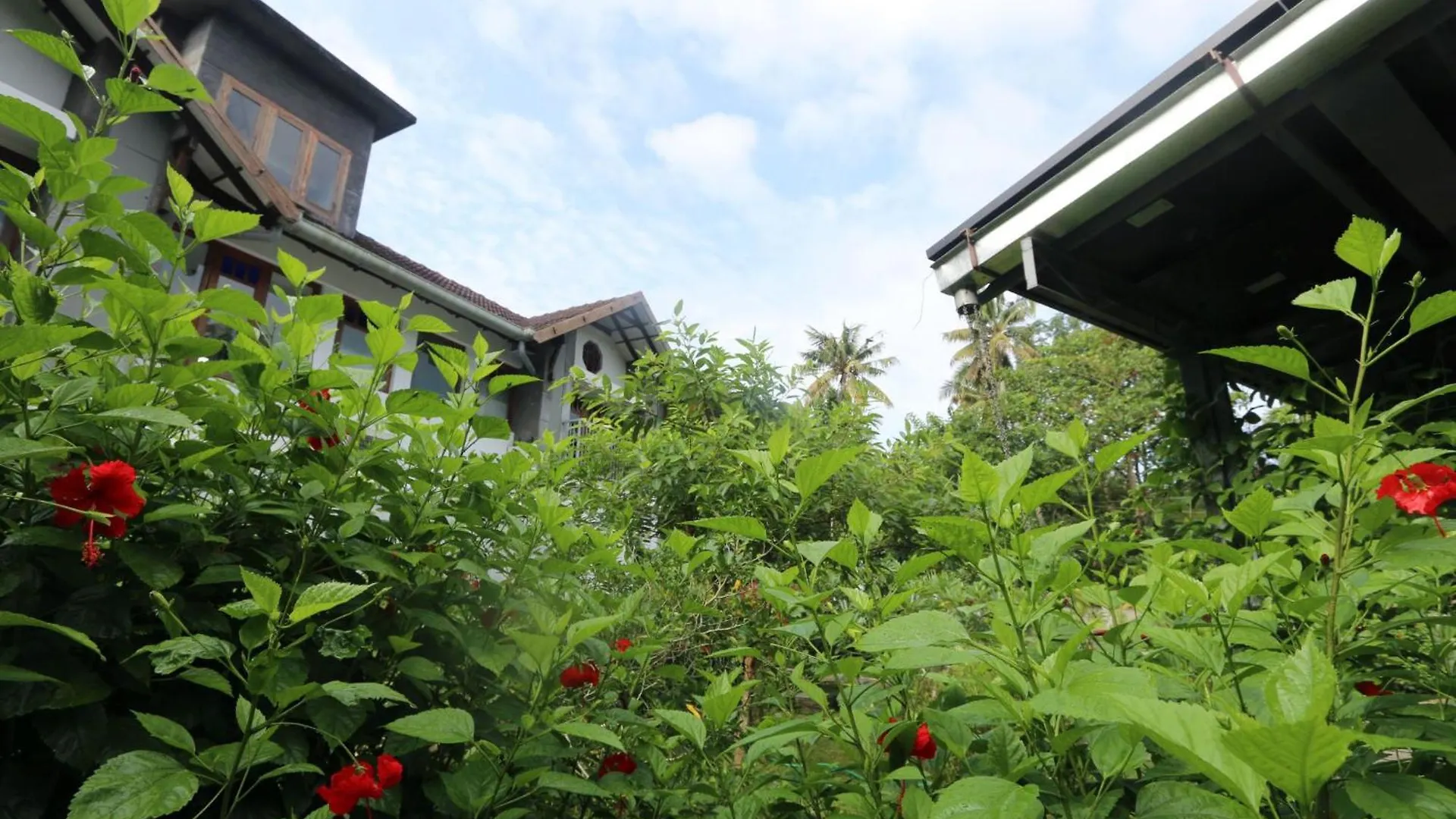 הוילה Alappuzha Hibiscus Earth - A Cgh Earth Saha Experience