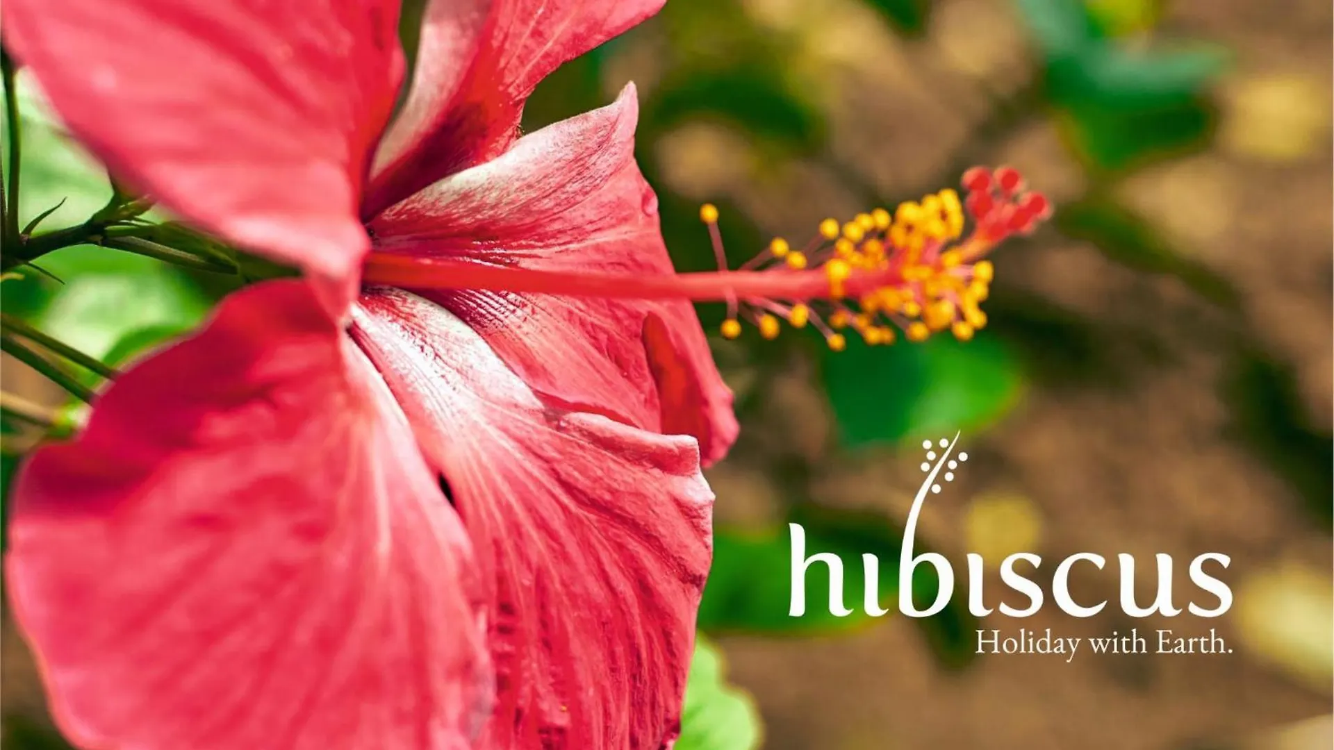 הוילה Alappuzha Hibiscus Earth - A Cgh Earth Saha Experience וילה