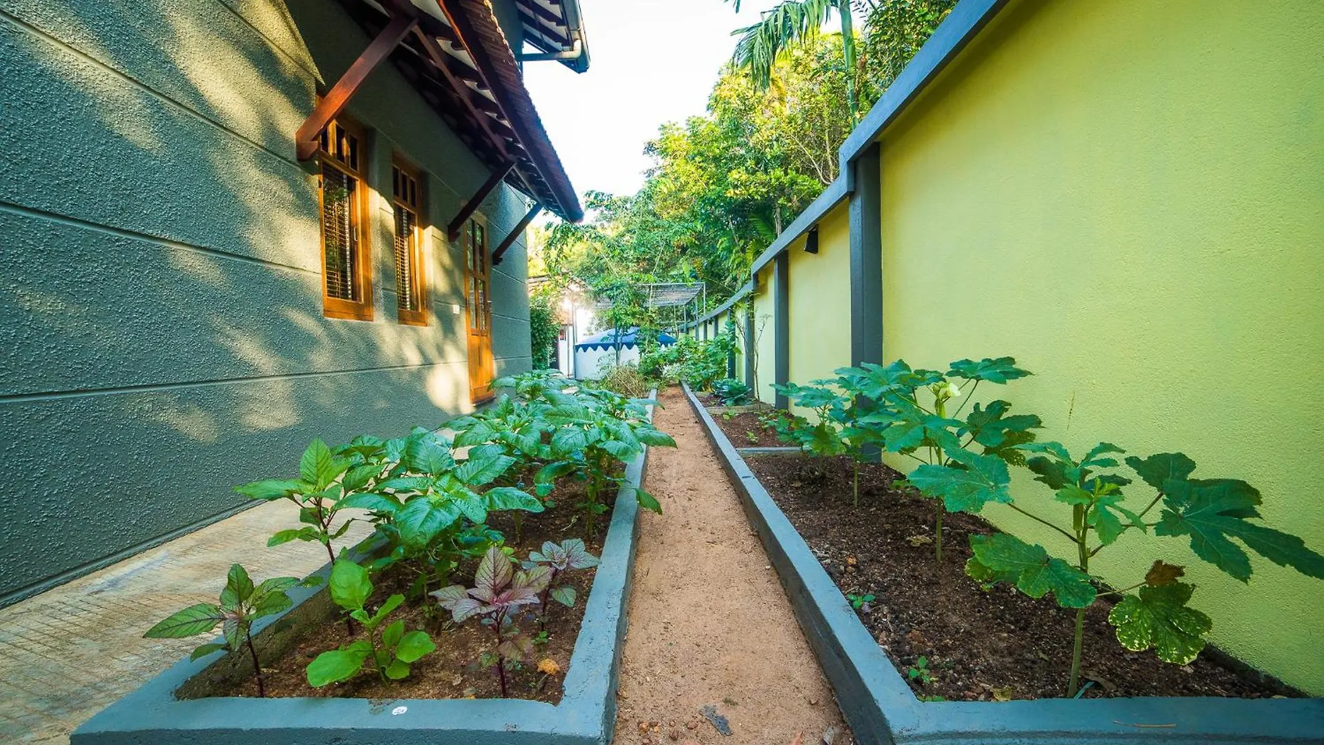 וילה הוילה Alappuzha Hibiscus Earth - A Cgh Earth Saha Experience הודו