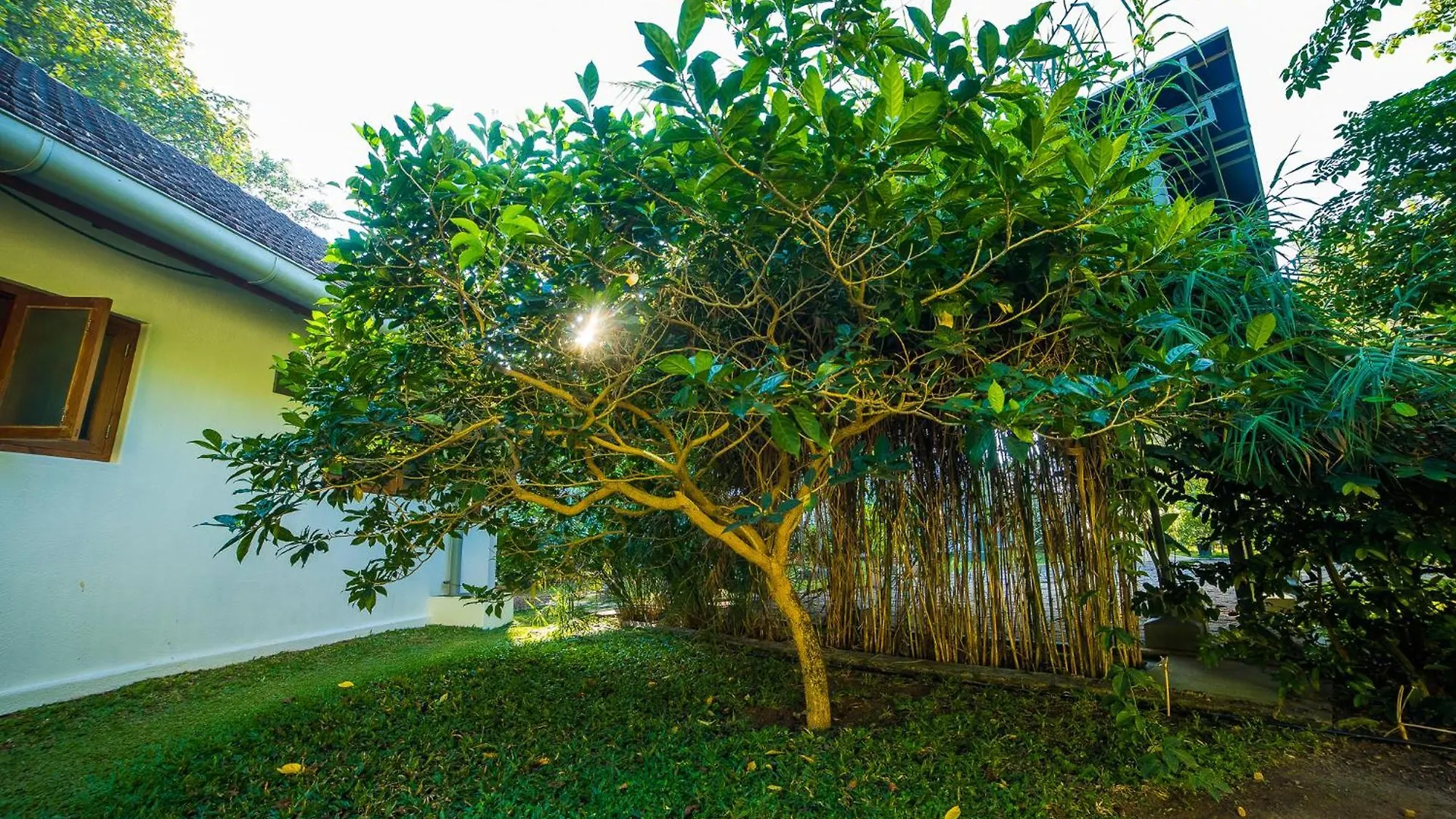 הוילה Alappuzha Hibiscus Earth - A Cgh Earth Saha Experience 0*,