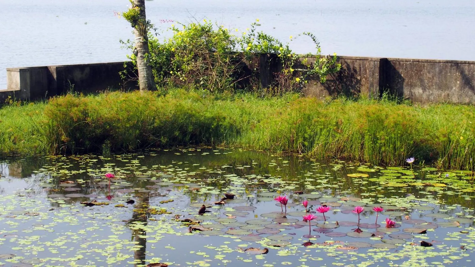 הוילה Alappuzha Hibiscus Earth - A Cgh Earth Saha Experience
